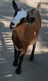 20190831_125749